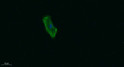 Immunofluorescence analysis of A549. 1, primary antibody was diluted at 1:200 (4℃ overnight). 2, Goat Anti Rabbit IgG STJ97271