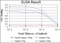 Anti-GYS1 antibody [3A7] (STJ98112)
