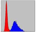 Flow cytometric analysis of NIH/3T3 cells using Troponin I-FS monoclonal antibody (blue) and negative control (red). Flow cytometric analysis of NIH/3T3 cells using Troponin I-FS monoclonal antibody (blue) and negative control (red).