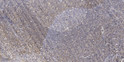 Immunohistochemical analysis of paraffin-embedded human tonsil. 1, Antibody was diluted at 1:200 (4° overnight). 2, STJ99630