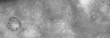 Anti CTSD Goat Polyclonal antibody immunoelectron microscopy STJ140018