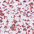 Anti-MUC-6 antibody IHC Human gastric mucosa STJ180326