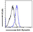 STJ70251 Flow cytometric analysis of paraformaldehyde fixed HeLa cells (blue line) , permeabilized with 0. 5% Triton. Primary incubation 1hr (10ug/ml) followed by Alexa Fluor 488 secondary antibody (1ug/ml). IgG control: Unimmunized goat IgG (black line) followed by Alexa Fluor 488 secondary antibody.