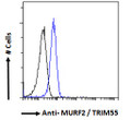 STJ70333 Flow cytometric analysis of paraformaldehyde fixed HeLa cells (blue line) , permeabilized with 0. 5% Triton. Primary incubation 1hr (10ug/ml) followed by Alexa Fluor 488 secondary antibody (1ug/ml). IgG control: Unimmunized goat IgG (black line) followed by Alexa Fluor 488 secondary antibody.