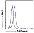 STJ70571 Flow cytometric analysis of paraformaldehyde fixed HEK293 cells (blue line) , permeabilized with 0. 5% Triton. Primary incubation 1hr (10ug/ml) followed by Alexa Fluor 488 secondary antibody (0. 4ug/ml). IgG control: Unimmunized goat IgG (black line) followed by Alexa Fluor 488 secondary antibody.