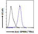 STJ70946 Flow cytometric analysis of paraformaldehyde fixed A431 cells (blue line) , permeabilized with 0. 5% Triton. Primary incubation 1hr (10ug/ml) followed by Alexa Fluor 488 secondary antibody (1ug/ml). IgG control: Unimmunized goat IgG (black line) followed by Alexa Fluor 488 secondary antibody.