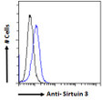 STJ72597 Flow cytometric analysis of paraformaldehyde fixed NIH3T3 cells (blue line) , permeabilized with 0. 5% Triton, showing a low level of staining. Primary incubation 1hr (10ug/ml) followed by Alexa Fluor 488 secondary antibody (1ug/ml). IgG control: Unimmunized goat IgG (black line) followed by Alexa Fluor 488 secondary antibody.