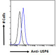 STJ72791 Flow cytometric analysis of paraformaldehyde fixed A431 cells (blue line) , permeabilized with 0. 5% Triton. Primary incubation overnight (10ug/ml) followed by Alexa Fluor 488 secondary antibody (1ug/ml). IgG control: Unimmunized goat IgG (black line) followed by Alexa Fluor 488 secondary antibody.