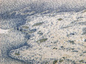 STJ73121 Negative Control showing staining of paraffin embedded Human Tonsil, with no primary antibody.