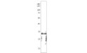 Western blot with Anti-Calcyon Antibody (STJ500576) of mouse brain at 1:500 dilution in buffer.