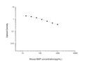 Mouse BNP (Brain Natriuretic Peptide) Competitive ELISA Kit (STJE0004339)