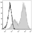 Mouse splenocytes were stained with Anti-Mouse I-A/I-E Monoclonal Antibody (PE/Cyanine5 Conjugated)[Used at 0.02 µg/10<sup>6</sup> cells dilution] (filled gray histogram). Unstained splenocytes (blank black histogram) were used as control.
