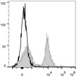 C57BL/6 murine splenocytes were stained with Anti-CD16/32 antibody (STJA0000134) (filled gray histogram). Unstained splenocytes (empty black histogram) were used as control.