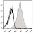 C57BL/6 murine splenocytes were stained with Anti-CD54 antibody (STJA0000231) (filled gray histogram). Unstained splenocytes (empty black histogram) were used as control.