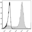 Mouse bone marrow cells were stained with Anti-Mouse/Human CD11b antibody (STJA0000422) (filled gray histogram). Unstained bone marrow cells (blank black histogram) were used as control.