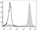 Mouse bone marrow cells were stained with Anti-Mouse/Human CD11b antibody (STJA0000425) (filled gray histogram). Unstained bone marrow cells (blank black histogram) were used as control.
