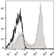 C57BL/6 murine splenocytes were stained with Anti-CD90.2 antibody (STJA0000504) [Used at 0.2 µg/10<sup>6</sup> cells dilution] (filled gray histogram). Unstained splenocytes (empty black histogram) were used as control.