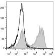 C57BL/6 murine splenocytes were stained with Anti-CD90.2 antibody (STJA0000505) [Used at 0.2 µg/10<sup>6</sup> cells dilution] (filled gray histogram). Unstained splenocytes (empty black histogram) were used as control.