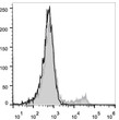 C57BL/6 murine bone marrow cells were stained with Anti-TER-119 antibody (STJA0000789) (filled gray histogram). Unstained bone marrow cells (empty black histogram) were used as control.