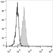 Human peripheral blood granulocytes were stained with Anti-CD10 antibody (STJA0000894) (filled gray histogram). Unstained granulocytes (empty black histogram) were used as control.