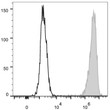 Human peripheral blood granulocytes were stained with Anti-CD15 antibody (STJA0000897) (filled gray histogram). Unstained granulocytes (empty black histogram) were used as control.