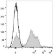 C57BL/6 murine splenocytes were stained with Anti-CD24 antibody (STJA0000992) (filled gray histogram). Unstained splenocytes (empty black histogram) were used as control.
