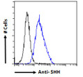 STJ73671 Flow cytometric analysis of paraformaldehyde fixed HeLa cells (blue line) , permeabilized with 0. 5% Triton. Primary incubation 1hr (10ug/ml) followed by Alexa Fluor 488 secondary antibody (1ug/ml). IgG control: Unimmunized goat IgG (black line) followed by Alexa Fluor 488 secondary antibody.