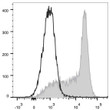 Anti-CD184/CXCR4 antibody [12G5] {APC} (STJA0001911)