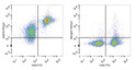 Anti-CD272/Btla antibody [PK18.6] {PE/Cyanine7} (STJA0002567)