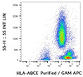Anti-HLA-ABCE antibody [TP25.99SF] (STJ16101394)