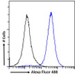 STJ73743 Flow cytometric analysis of paraformaldehyde fixed A431 cells (blue line) , permeabilized with 0. 5% Triton. Primary incubation 1hr (10ug/ml) followed by Alexa Fluor 488 secondary antibody (1ug/ml). IgG control: Unimmunized goat IgG (black line) followed by Alexa Fluor 488 secondary antibody.