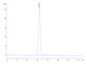 The purity of Biotinylated Human PDGF R alpha/PDGFRA is greater than 95% as determined by SEC-HPLC.