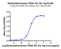 Immobilized Anti-TRAIL R2 Antibody, hFc Tag at 5 Mu g/ml (100 Mu l/well) on the plate. Dose response curve for Biotinylated Human TRAIL R2, His Tag with the EC50 of 0. 1 Mu g/ml determined by ELISA.