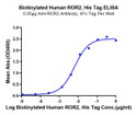 Immobilized Anti-ROR2 Antibody, hFc Tag at 0. 5 Mu g/ml (100 Mu l/well) on the plate. Dose response curve for Biotinylated Human ROR2, hFc Tag with the EC50 of 6. 5ng/ml determined by ELISA.