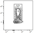 Human Mature TGF-beta 1 protein (Active Recombinant) (No tag) (STJP001449)