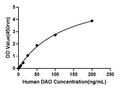 Human D-Amino Acid Oxidase (DAO) (D-Amino Acid Oxidase (DAO)) Sandwich ELISA Kit Kit (STJE0019603)