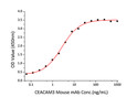 Human CEACAM3/CD66d protein (Recombinant) (C-His) (STJP000907)