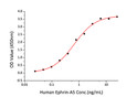 Human Ephrin-A5/EFNA5 protein (Recombinant) (C-hFc&His) (STJP000951)