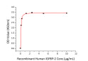 Human IGFBP-2 protein (Recombinant) (C-His) (STJP000986)