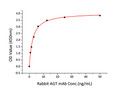 Human Angiotensinogen/AGT protein (Recombinant) (C-His) (STJP001103)