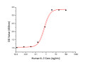 Human IL-2 protein (Active Recombinant) (C-His) (STJP001119)