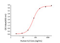 Human IL-2 protein (Active Recombinant) (C-His) (STJP001119)