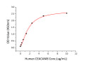 Human CEA/CD66e protein (Recombinant) (C-His) (STJP001168)