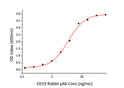Human CD19 protein (Active Recombinant) (C-His) (STJP001301)