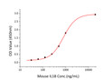 Mouse IL-1 beta protein (Recombinant) (C-His) (STJP001329)