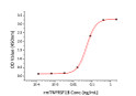 Mouse TNFRSF1B/TNF-R2/CD120b protein (Recombinant) (C-hFc) (STJP001387)