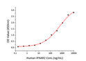 Human IFN-alpha 2 protein (Recombinant) (C-His) (STJP001424)