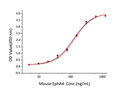 Mouse Ephrin-A2/EFNA2 protein (Recombinant) (C-His) (STJP001507)