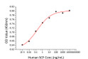 Recombinant Human SCF promotes the proliferation of TF-1 human erythroleukemic cells. The ED&lt;sub&gt;50&lt;/sub&gt; for this effect is 0. 08-0. 3ng/mL.