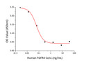 Recombinant Human FGFR4 inhibits FGF-acidic dependent proliferation of Balb/c 3T3 mouse fibroblasts. The ED&lt;sub&gt;50&lt;/sub&gt; for this effect is typically 0. 03-0. 12 ng/mL.